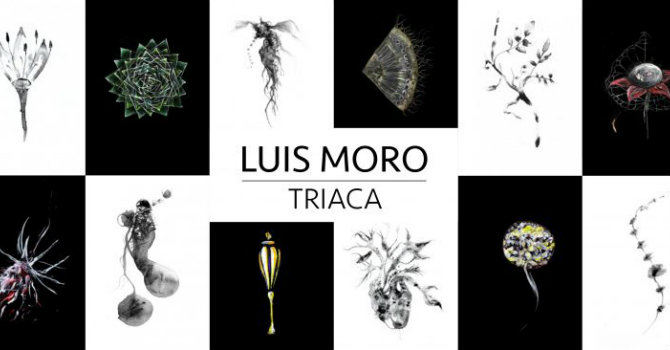 2342_luis-moro_triaca-768x366